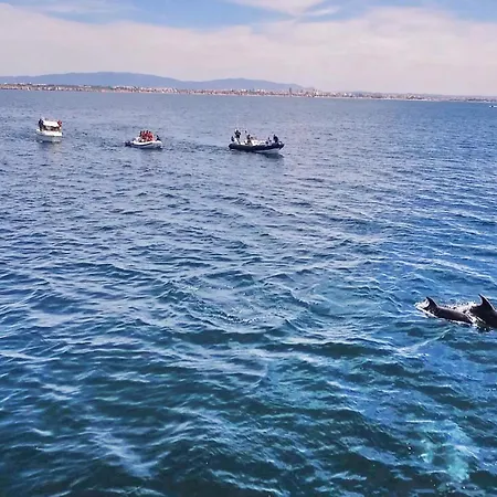 Villa Coral Bay By Algarve Vacation *